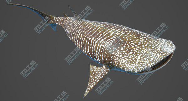 images/goods_img/20210312/Whale Shark Rigged/4.jpg